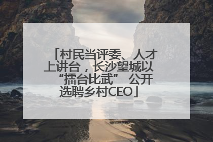 村民当评委、人才上讲台，长沙望城以“擂台比武” 公开选聘乡村CEO