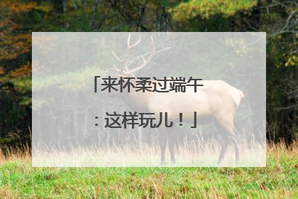 来怀柔过端午：这样玩儿！