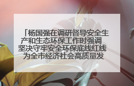 杨国强在调研督导安全生产和生态环保工作时强调 坚决守牢安全环保底线红线 为全市经济社会高质量发展提供坚强保障