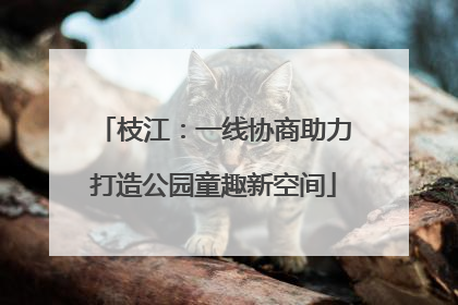 枝江：一线协商助力打造公园童趣新空间