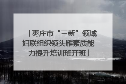 枣庄市“三新”领域妇联组织领头雁素质能力提升培训班开班
