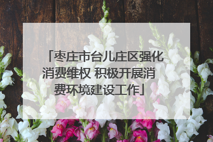 枣庄市台儿庄区强化消费维权 积极开展消费环境建设工作