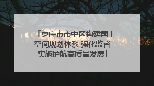 枣庄市市中区构建国土空间规划体系 强化监督实施护航高质量发展