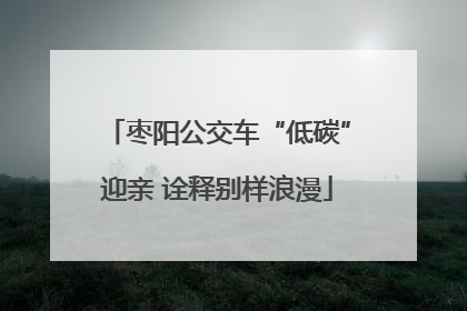 枣阳公交车“低碳”迎亲 诠释别样浪漫