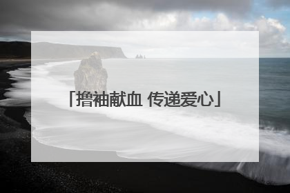 撸袖献血 传递爱心