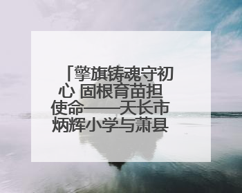 擎旗铸魂守初心 固根育苗担使命——天长市炳辉小学与萧县师范学校附属小学结对共建活动纪实