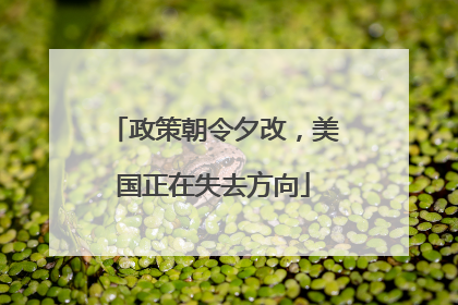 政策朝令夕改，美国正在失去方向