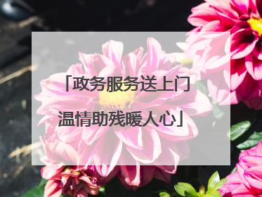 政务服务送上门 温情助残暖人心