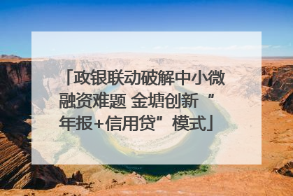 政银联动破解中小微融资难题 金塘创新“年报+信用贷”模式