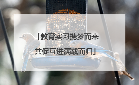 教育实习携梦而来 共促互进满载而归