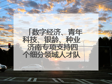 数字经济、青年科技、银龄、种业 济南专项支持四个细分领域人才队伍建设