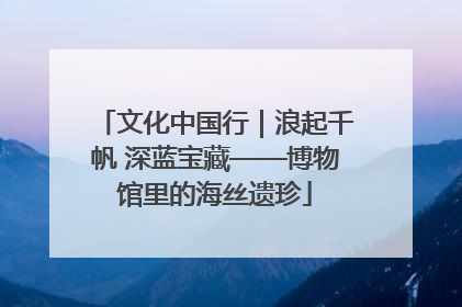 文化中国行｜浪起千帆 深蓝宝藏——博物馆里的海丝遗珍