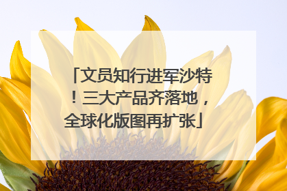 文员知行进军沙特！三大产品齐落地，全球化版图再扩张