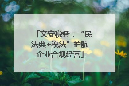 文安税务：“民法典+税法”护航企业合规经营