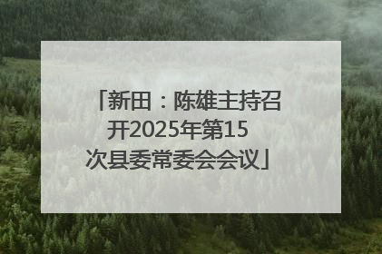 新田：陈雄主持召开2025年第15次县委常委会会议