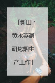 新田：黄永英调研烤烟生产工作