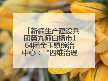 新疆生产建设兵团第九师白杨市164团金玉镇综治中心：“四维治理”淬炼边疆“枫桥样本”