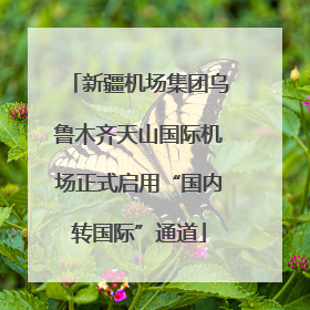 新疆机场集团乌鲁木齐天山国际机场正式启用“国内转国际”通道