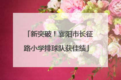 新突破！襄阳市长征路小学排球队获佳绩