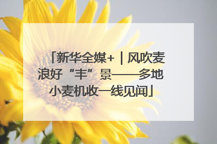 新华全媒+｜风吹麦浪好“丰”景——多地小麦机收一线见闻