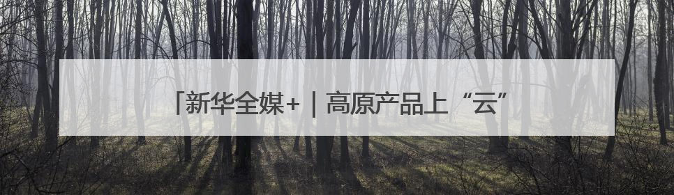 新华全媒+｜高原产品上“云”端——西藏电商发展一线观察