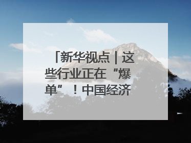 新华视点｜这些行业正在“爆单”！中国经济活力密码