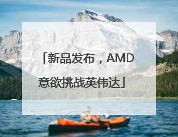 新品发布，AMD意欲挑战英伟达