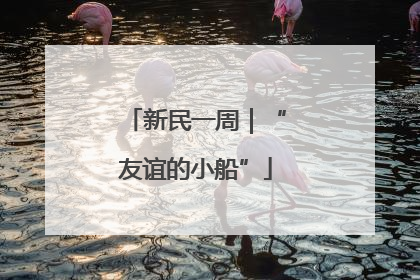 新民一周｜“友谊的小船”