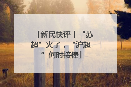 新民快评丨“苏超”火了，“沪超”何时接棒