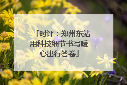 时评：郑州东站用科技细节书写暖心出行答卷