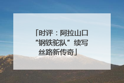 时评：阿拉山口“钢铁驼队”续写丝路新传奇