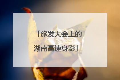 旅发大会上的湖南高速身影