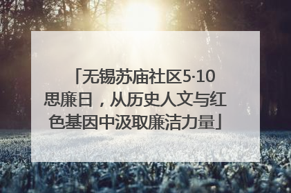 无锡苏庙社区5·10思廉日，从历史人文与红色基因中汲取廉洁力量