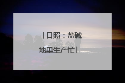 日照：盐碱地里生产忙