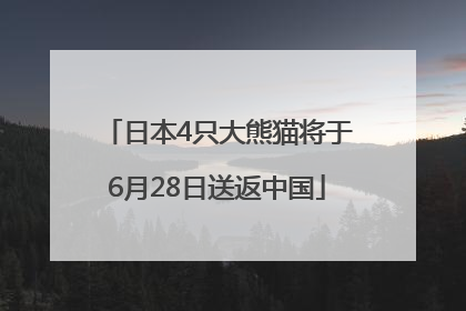 日本4只大熊猫将于6月28日送返中国