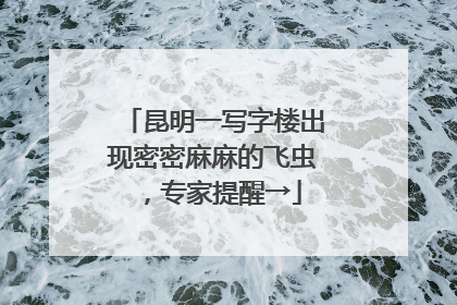 昆明一写字楼出现密密麻麻的飞虫，专家提醒→