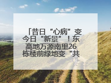 昔日“心病”变今日“新景”！东高地万源南里26栋楼前绿地变“共享花园”