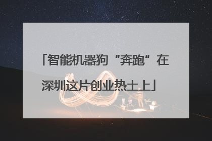 智能机器狗“奔跑”在深圳这片创业热土上