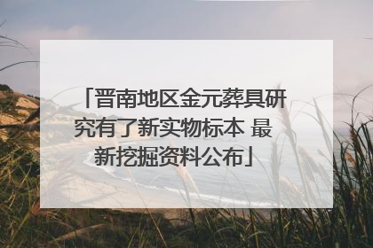 晋南地区金元葬具研究有了新实物标本 最新挖掘资料公布