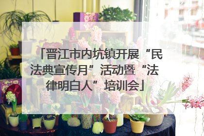 晋江市内坑镇开展“民法典宣传月”活动暨“法律明白人”培训会