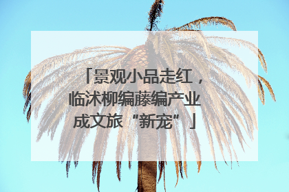 景观小品走红，临沭柳编藤编产业成文旅“新宠”