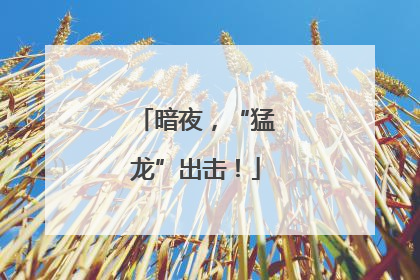 暗夜，“猛龙”出击！