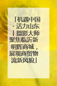 机遇中国・活力山东丨摄影大师聚焦临沂新明辉商城，展现商贸物流新风貌