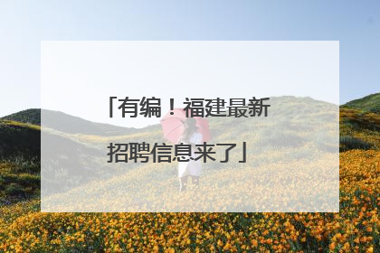 有编！福建最新招聘信息来了