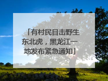 有村民目击野生东北虎，黑龙江一地发布紧急通知