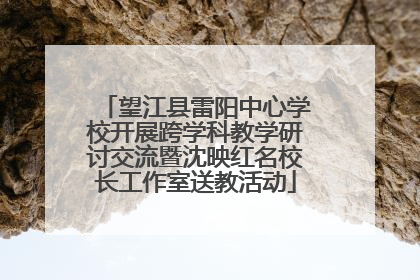 望江县雷阳中心学校开展跨学科教学研讨交流暨沈映红名校长工作室送教活动