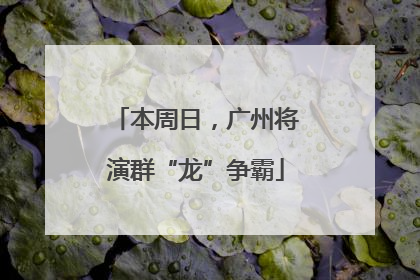 本周日，广州将演群“龙”争霸