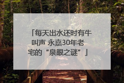 每天出水还时有牛叫声 永嘉30年老宅的“泉眼之谜”