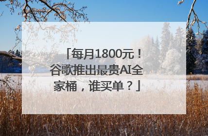 每月1800元！谷歌推出最贵AI全家桶，谁买单？