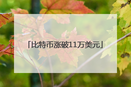 比特币涨破11万美元
